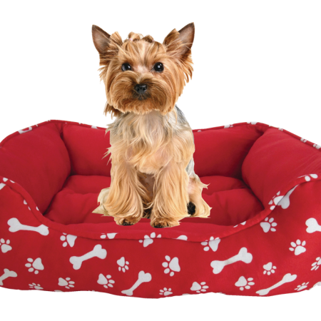 PAWS UP! Rectangle Dog Bed, 27-in x 23-in, Red