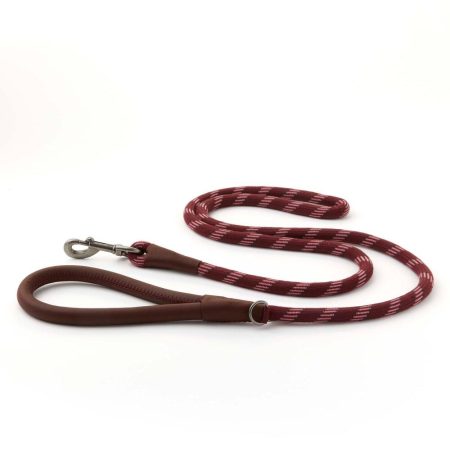 Reddy Burgundy Rope Dog Leash, 6-ft