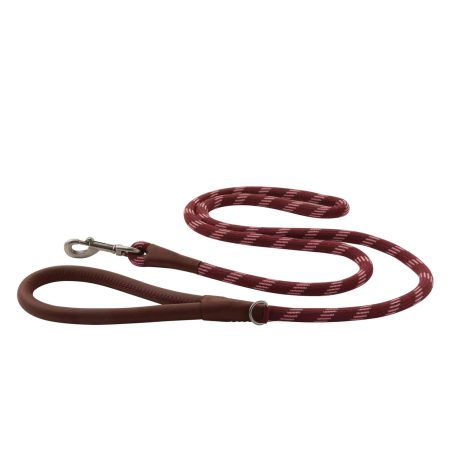 Reddy Burgundy Rope Dog Leash, 6-ft