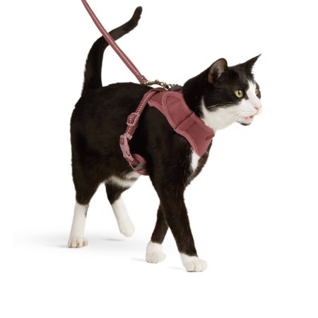 Reddy Cat Harness Set, Burgundy, Small/Medium