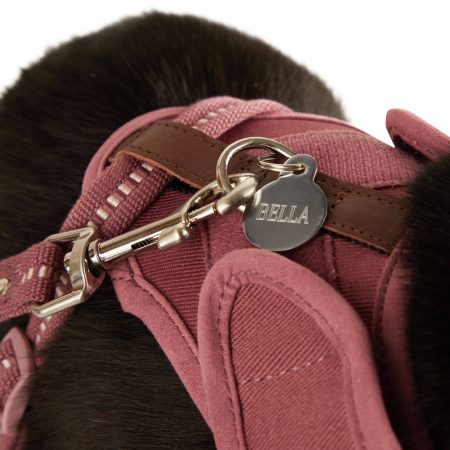 Reddy Cat Harness Set, Burgundy, Small/Medium