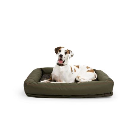 Reddy Indoor/Outdoor Dog Bed, 32-in x 24in