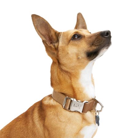 Reddy Tan Jacquard Dog Collar