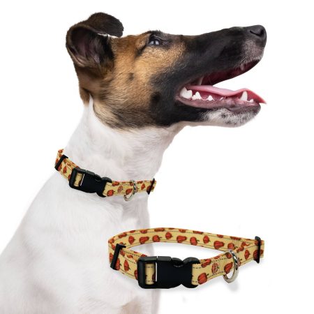 Perri's Pet Products Reflective Mini Pumpkins Dog Collar, Assorted Sizes