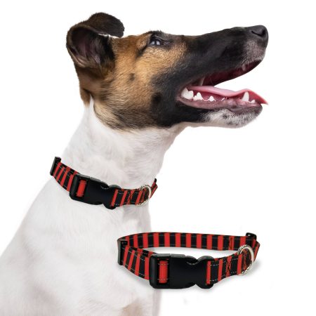 Perri's Pet Products Reflective Scary Stripes Dog Collar, Assorted Sizes