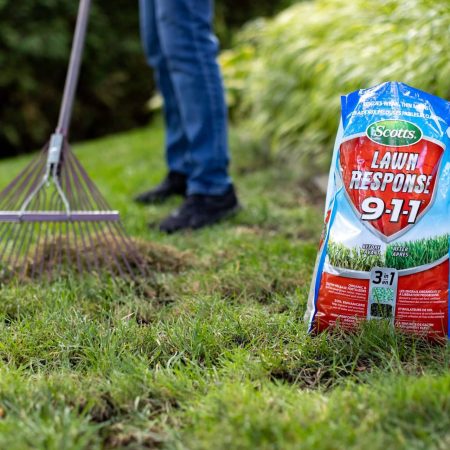 Scotts Lawn Response 3-in-1 Grass Seed & Fertilizer Mix, 9-1-1, 4.8-kg