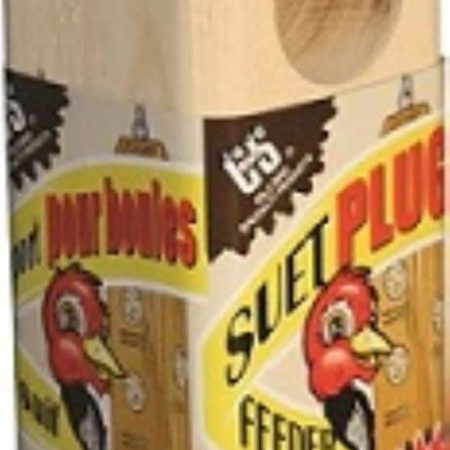 Scotts C&S Peanut Delight No Melt Suet Plugs, 4-pk