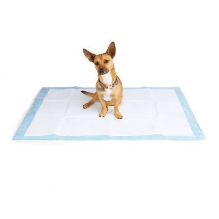 So Phresh Maximum Absorbency Leak Shield XXL Dog Training Pads, 40-in x 30-in, 72-pk