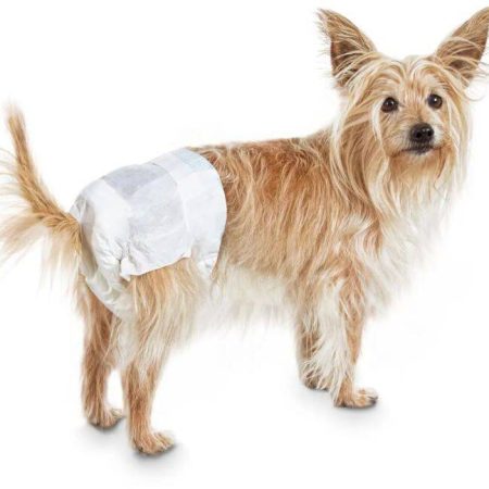 So Phresh Leak Guard Disposable Dog Diapers, Adjustable Fit, Assorted Sizes, 12-pk