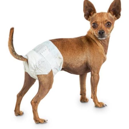 So Phresh Leak Guard Disposable Dog Diapers, Adjustable Fit, Assorted Sizes, 12-pk