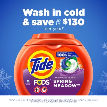 Tide PODS Liquid Laundry Detergent Soap Pacs, 42 Count, Spring Meadow Scent