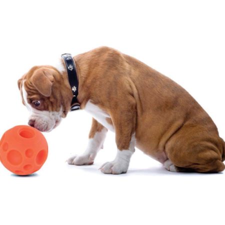 Omega Paw Tricky Treat Ball Dog Toy, Large, Orange