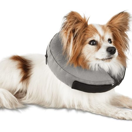 Well & Good Inflatable Recovery Collar, Assorted Sizes