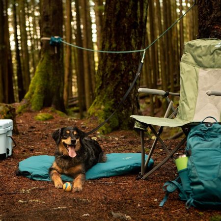 Woods™ Oversized Hard Arm Camping Chair with Cup Holder