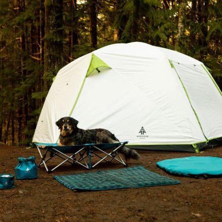 Woods DOG-WOOD Portable Folding Dog Camp Cot w/ Carry Bag, Supports 70-lb, Blue