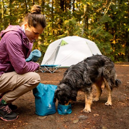 Woods PAW-THORN Collapsible Waterproof Dog Bowls, Camping and Travel, 2-Pack, 2-L each