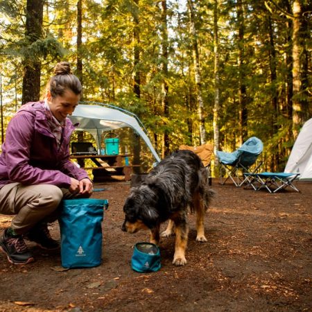 Woods PAW-THORN Roll-Top Portable Dog Food Bag, Blue, All-Sizes