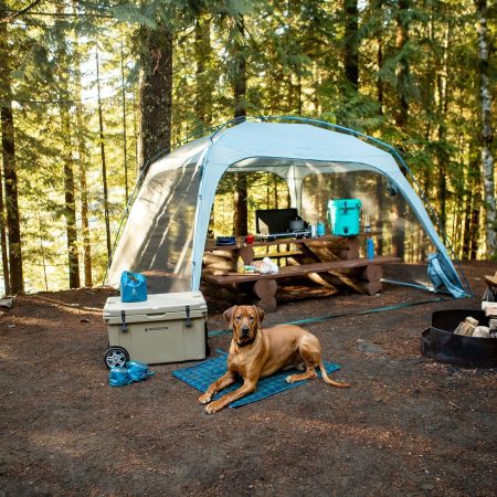 Woods DOG-WOOD Soft Plaid Folding Dog Camp Mat, 38.6-in x 31.1-in, Blue