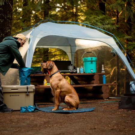 Woods DOG-WOOD Soft Plaid Folding Dog Camp Mat, 38.6-in x 31.1-in, Blue