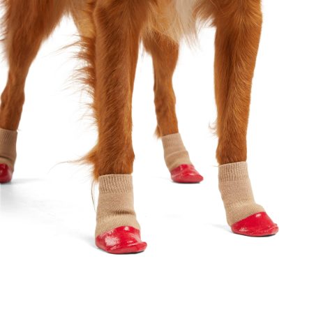 Petco Non-Skid Rubber-Dip Sock for Dogs, Red