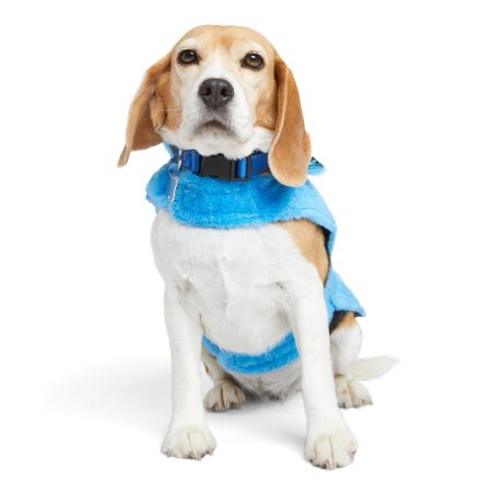 Petco Reversible Cozy Puffer Dog Jacket, Blue