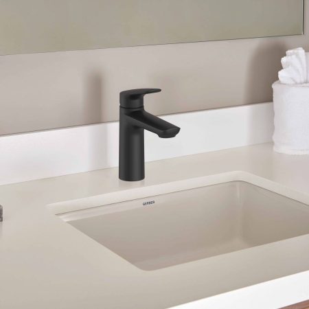 Danze Esla 1-Handle Lavatory/Bathroom Sink Faucet, Lead-Free, Matte Black