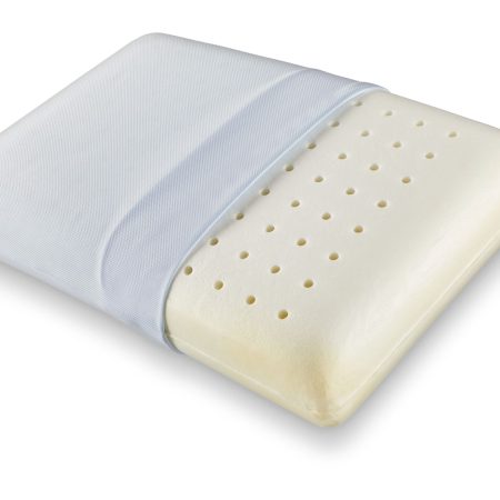 For Living Ventilated Memory Foam Ergonomic Pillow with Coolmax Cover, Standard, 25-in x 16-in