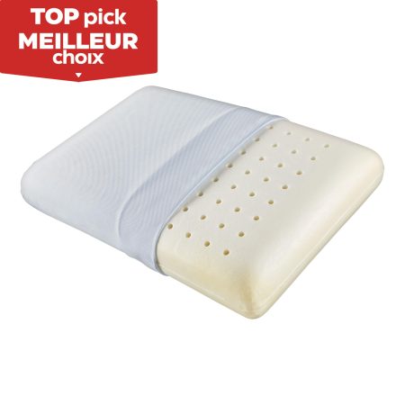 For Living Ventilated Memory Foam Ergonomic Pillow with Coolmax Cover, Standard, 25-in x 16-in